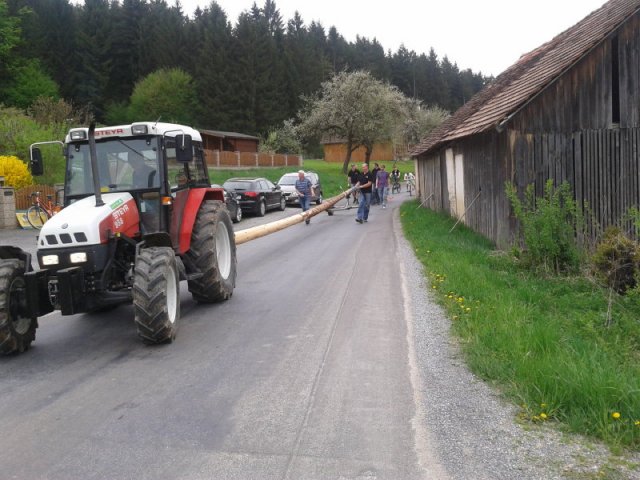 Maibaum2013